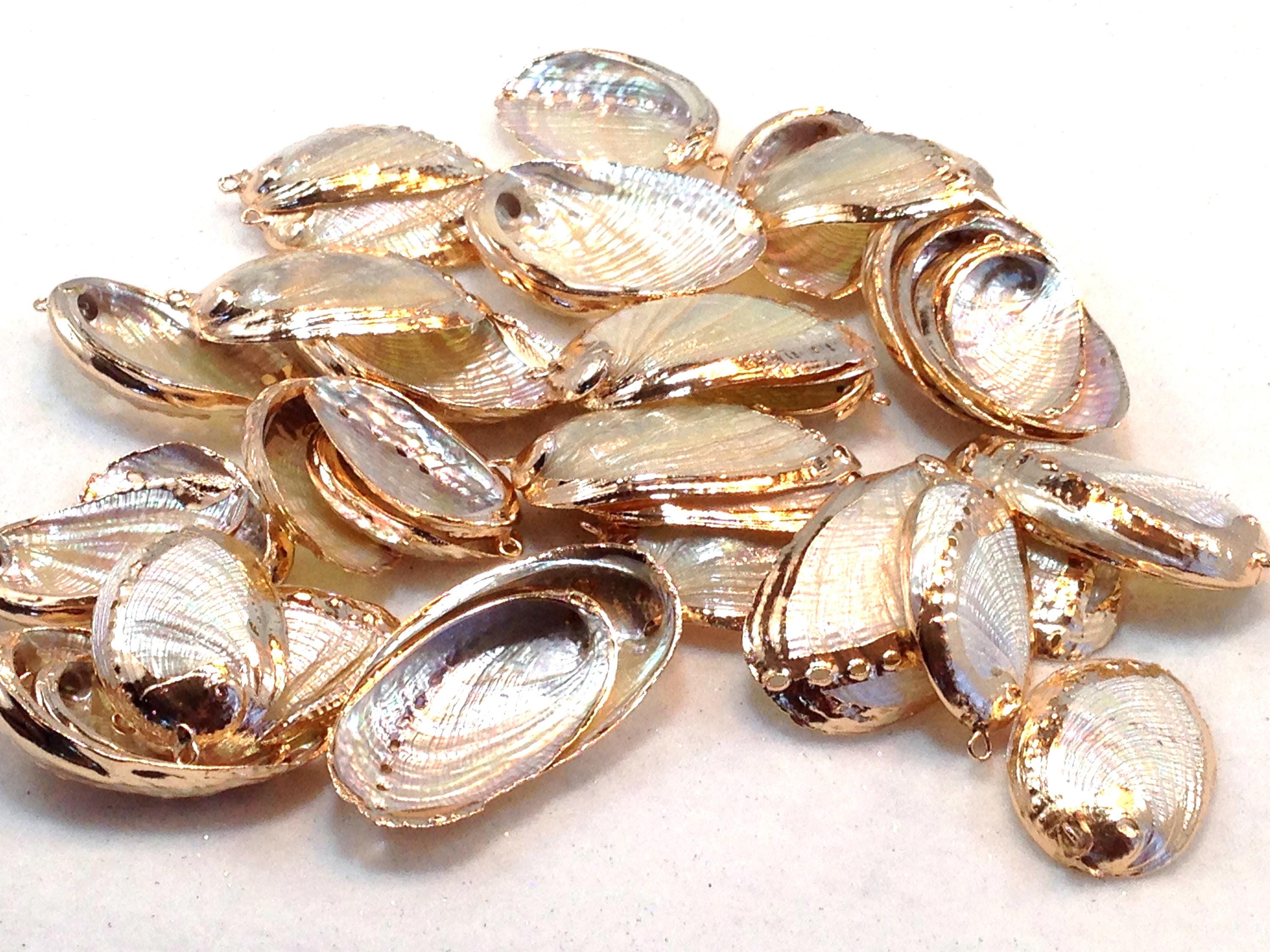 24K Gold Plated #2 Seashell Charms - Etsy