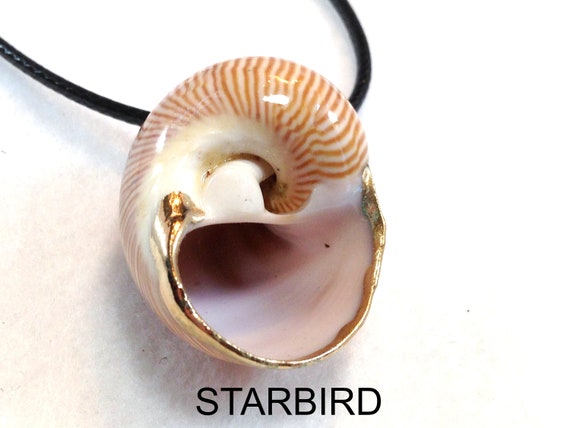 24k Gold Plated Seashell Pendant Necklace - image 9