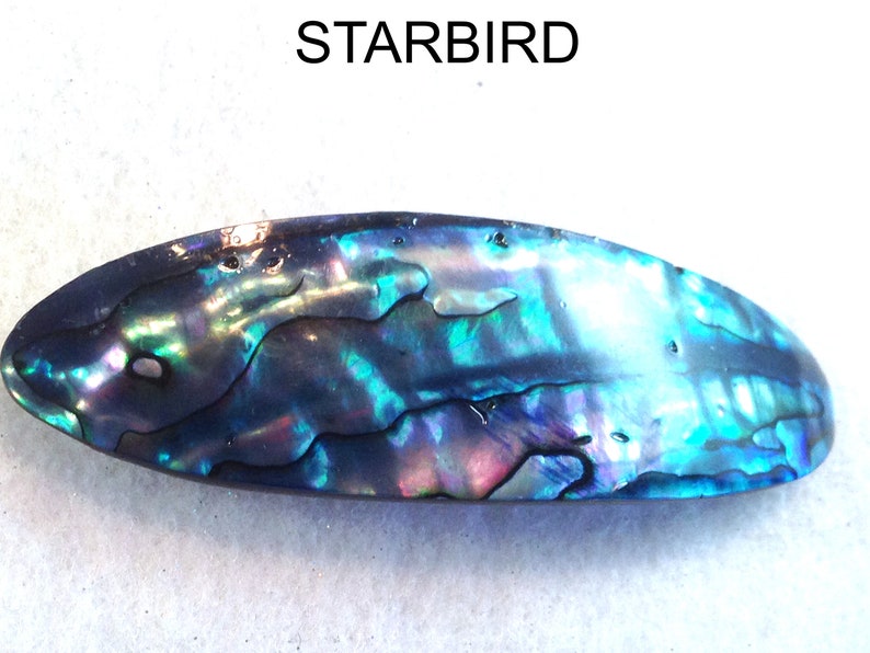 Abalone paua sea shell hair barrette