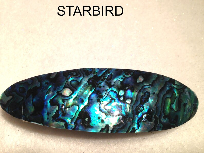 Abalone paua sea shell hair barrette