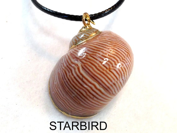 24k Gold Plated Seashell Pendant Necklace - image 8