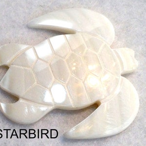 WHITE or BLACK MOTHER of Pearl  Turtle seashell hair barrette