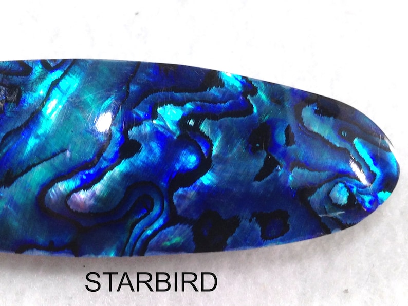 Abalone paua sea shell hair barrette