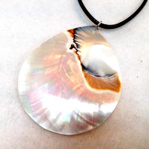 NAUTILUS SEASHELL  Pendant Necklace