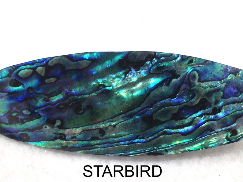Abalone paua sea shell hair barrette