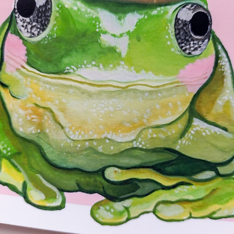 Peut inclure: Gros plan sur une grenouille verte aux grands yeux noirs. La grenouille est assise sur un fond rose et a un ventre jaune.