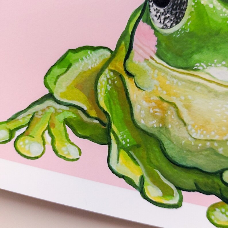 Peut inclure: Gros plan sur une grenouille verte avec un ventre rose et un &oelig;il noir. La grenouille est peinte dans un style aquarelle et a une apparence textur&eacute;e.