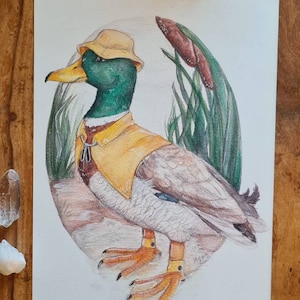May include: Watercolour painting of a duck wearing a yellow raincoat and a yellow hat. The duck is standing on a brown rock with green reeds in the background.