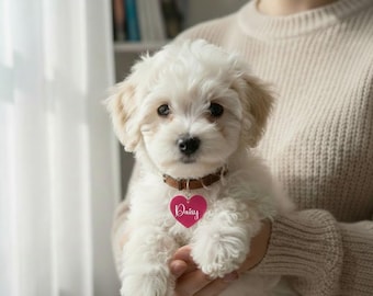 Medaglietta personalizzata per animali domestici, medagliette con il nome degli animali domestici, medaglietta silenziosa per cani, medaglietta identificativa per cani, medaglietta identificativa personalizzata per cani e gatti, medaglietta colorata per animali domestici per il tuo amato amico peloso