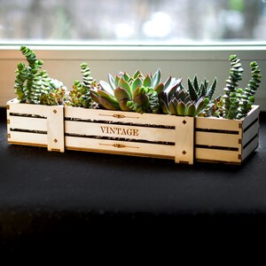 Sukkulenten Töpfe, Sukkulenten Box, Sukkulenten Aufbewahrung, Sukkulenten Anzeige 30,5 x 9,5 x 6 cm, Sukkulenten Geschenkbox, Sukkulenten Herzstück