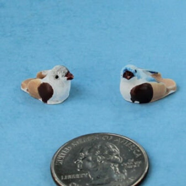 Pair of 2 Dollhouse Miniature Beautiful Colorful Tiny Bird Figurines #WCGA248