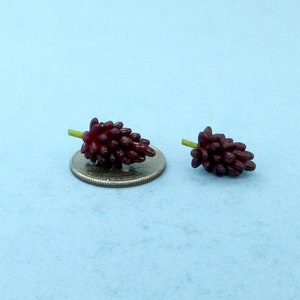 Dollhouse Miniature Realistic Purple Grape Bunches Set of 2