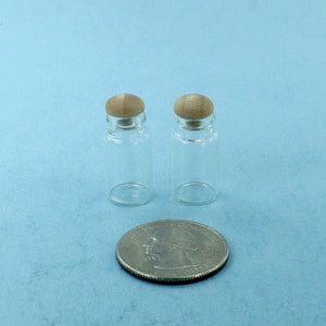 1:12 Scale Dollhouse Miniature Pair of 2 Glass Canning Jars with Removable Wood Lids Perfect for Candy or Dry Goods #SD1577