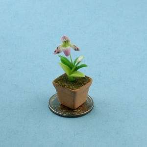 Fabulous Dollhouse Miniature Potted Orchids in Assorted Colors