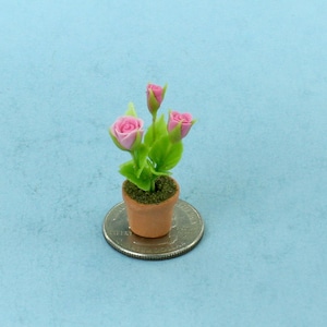 May include: A miniature terracotta pot with a small pink rose plant. The plant has three pink rose buds and green leaves. The pot is sitting on a quarter coin against a light blue background.