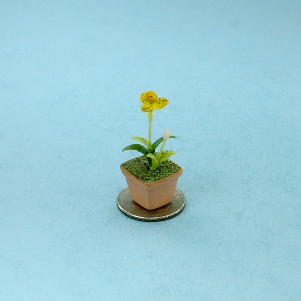 Fabulous Dollhouse Miniature Potted Orchids in Assorted Colors Purple Orchid or Yellow Orchid