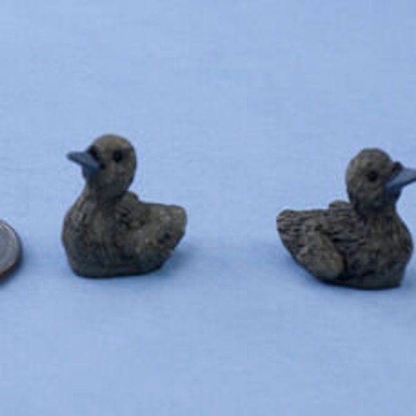 Pair of 2 Dollhouse Miniature Baby Swans -Great for Fairy Gardens Too! #WCGA247