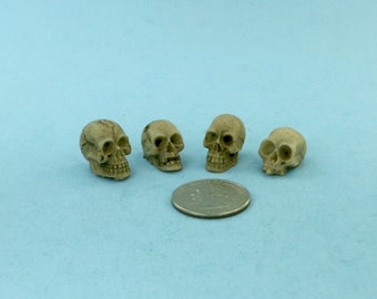 4 Different Miniature Realistic Skulls for Halloween Decorations