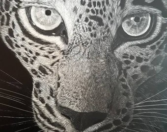 Wildlife Leopard Original 9x12 Scratchboard Art - Etsy