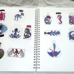 May include: A sketchbook featuring a variety of animal illustrations encased in glass jars. The animals depicted include a turtle, a chameleon, a seahorse, a snake, a frog, a fish, a bat, and a dragon. The illustrations are rendered in a whimsical style with bright colours.