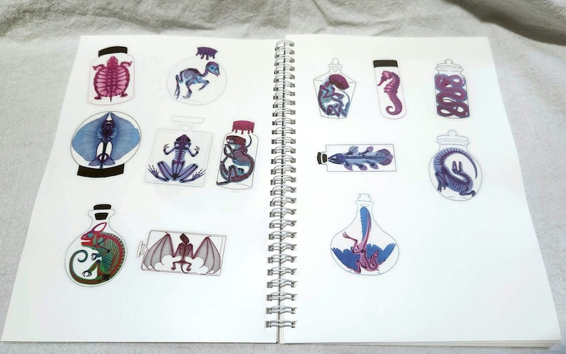 May include: A sketchbook featuring a variety of animal illustrations encased in glass jars. The animals depicted include a turtle, a chameleon, a seahorse, a snake, a frog, a fish, a bat, and a dragon. The illustrations are rendered in a whimsical style with bright colours.