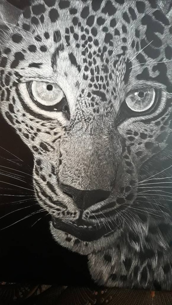 Wildlife Leopard Original 9x12 Scratchboard Art - Etsy
