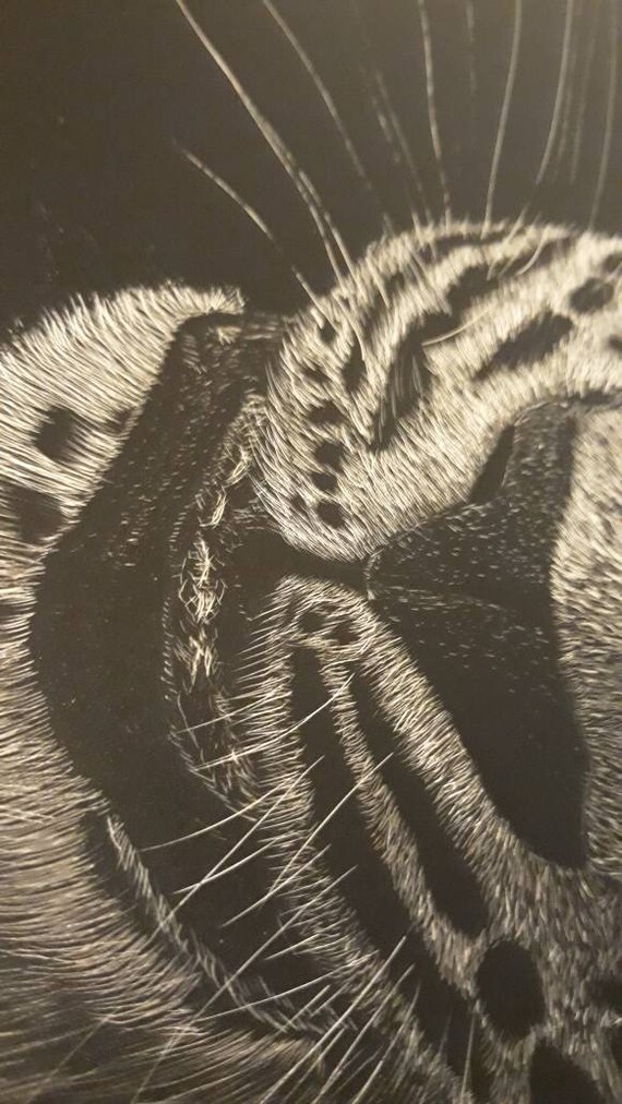 Wildlife Leopard Original 9x12 Scratchboard Art - Etsy