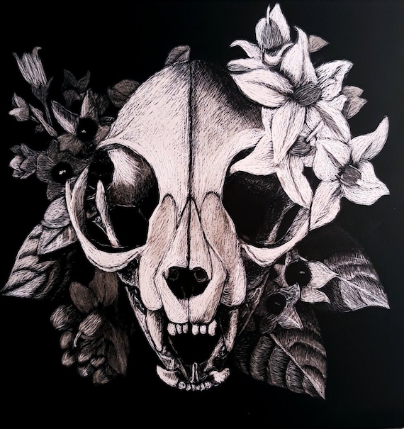 Cat Skull 5x5 Original Scratchboard Art - Etsy