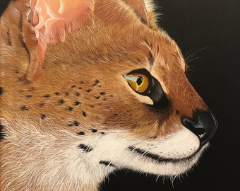 動物の猫の絵 キャンバスにアクリル絵の具 サイン入り / 動物の猫の