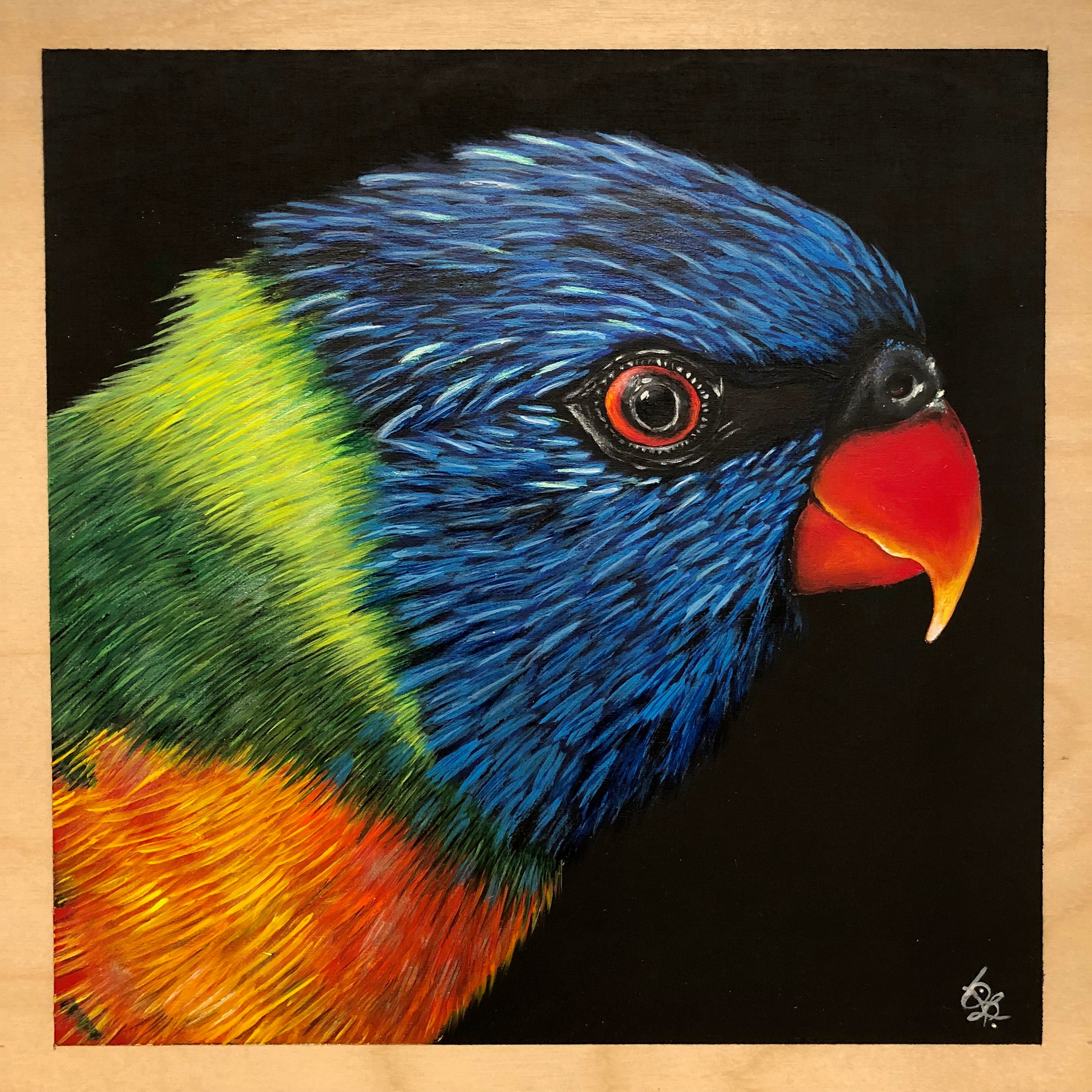 Lorikeet Painting Acrylic Lorikeet Painting Animal Painting - Etsy Lorikeet Painting Acrylic Lorikeet Painting Animal Painting - Etsy