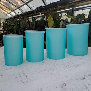 May include: A set of four cylindrical containers in varying heights, each featuring a translucent turquoise finish and a simple, flat white lid. The containers are arranged in a row, showcasing a smooth, matte texture and a uniform design.