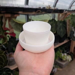 May include: A small, white, cylindrical plant pot with a matching circular saucer base. The pot features a textured, matte finish on its exterior surface and a simple, open top design, presented as a single unit for holding small plants.
