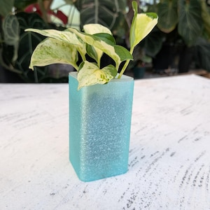 May include: A rectangular, light blue, frosted glass planter with a textured, shimmering surface. The planter holds a small, variegated pothos plant with heart-shaped leaves featuring splashes of creamy white and deep green coloration.