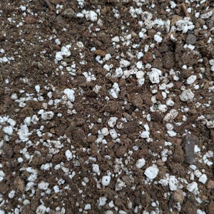 May include: Close-up of potting soil mix, featuring dark brown soil with scattered white perlite pieces. The texture is coarse and granular, suitable for planting. The mix includes small rocks and organic matter.