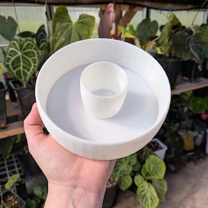 May include: A white, circular plant pot with a raised outer rim and a central, cylindrical insert. The pot is held in a hand, with a greenhouse background filled with various green plants.