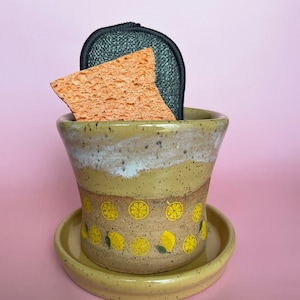 Citrus Sponge Holder w/ Drain Holes + Saucer