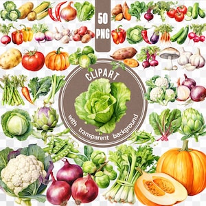 Légumes aquarelles au format 50 PNG / lot d'autocollants végétariens végétaliens / tomate, citrouille, chou de la ferme / cliparts aliments sains légumes