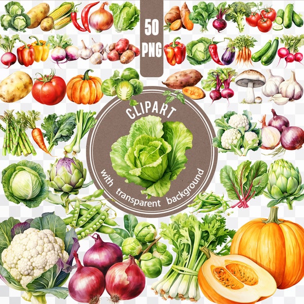 50 PNG Watercolor Vegetables / Vegetarian Vegan Digital Bundle / Farm Tomato, Pumpkin, Cabbage Sticker Pack / Veggies Healthy Food Clipart