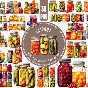 30 potes PNG cheios de conservas / picles e vegetais em conserva Arquivo digital / Pacote de adesivos de comida vegana / Criação de cartões de culinária saudável