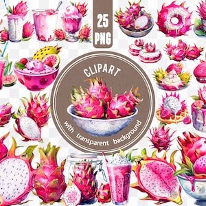 25 PNG Drachenfrucht / Tropisches Sommer Essen Digitale Datei / Sommer Party Bündel / Pitaya Aufkleber / Exotische Drachenfrucht Clipart Kartenherstellung