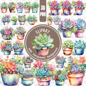 Paquete digital de 30 PNG con acuarelas de suculentas/plantas de interior/pegatinas para macetas/imágenes prediseñadas de cactus/tarjetas con macetas