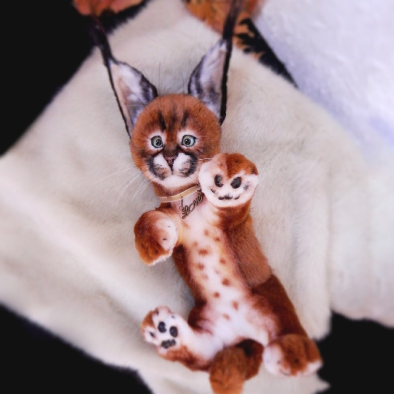 poseable cat model