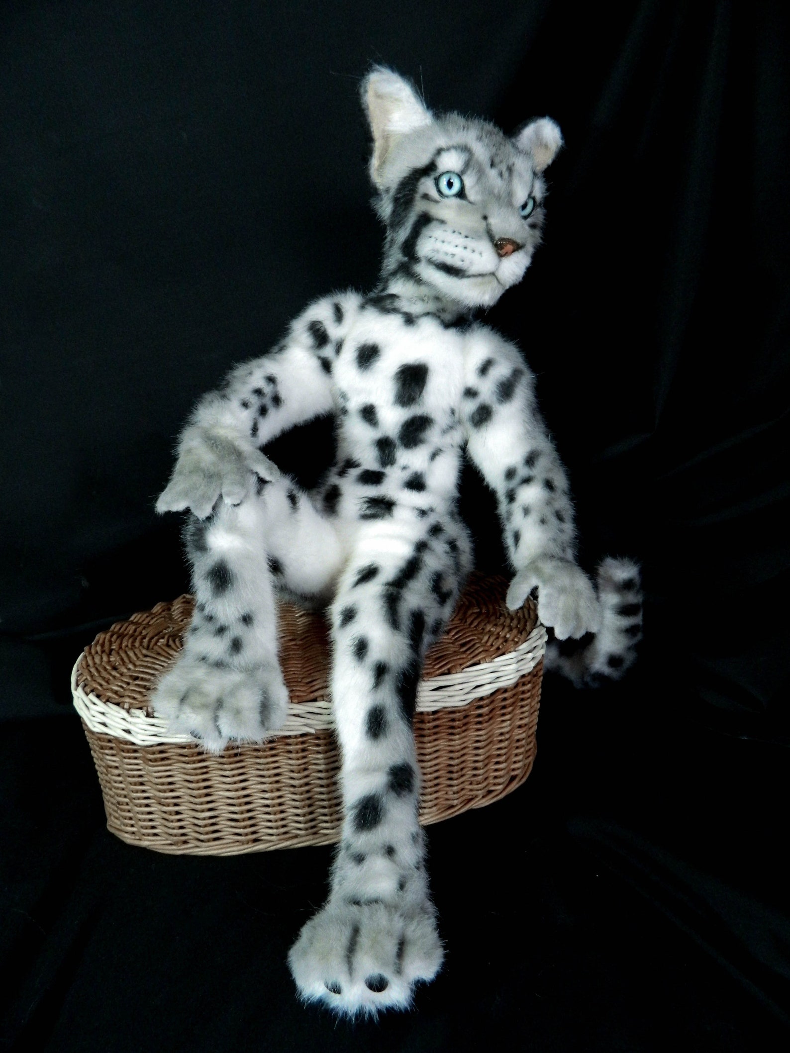 Clouded Leopard Stuffed Animal. Poseable Realistic Wild | Etsy