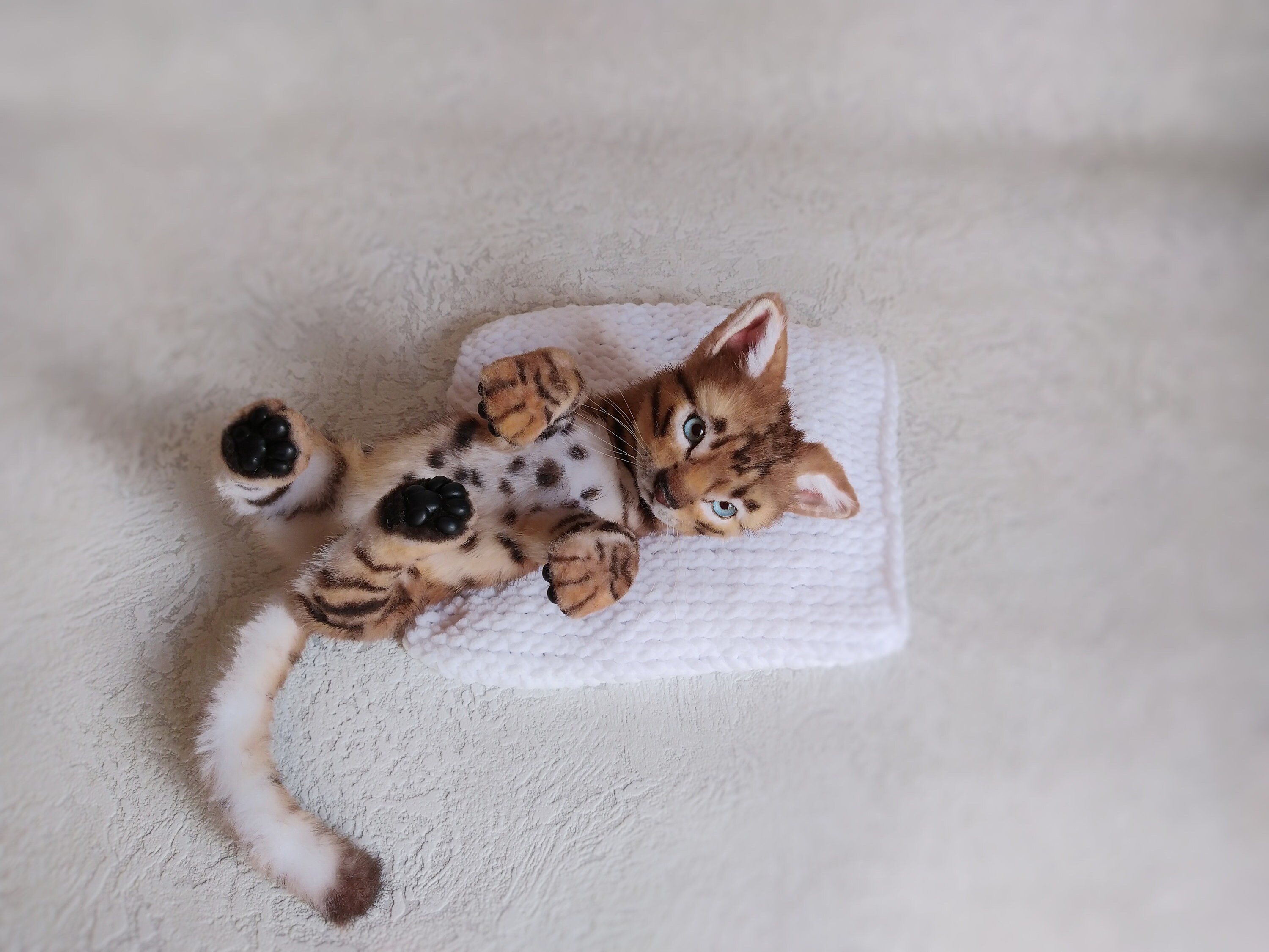 stuffed bengal cat