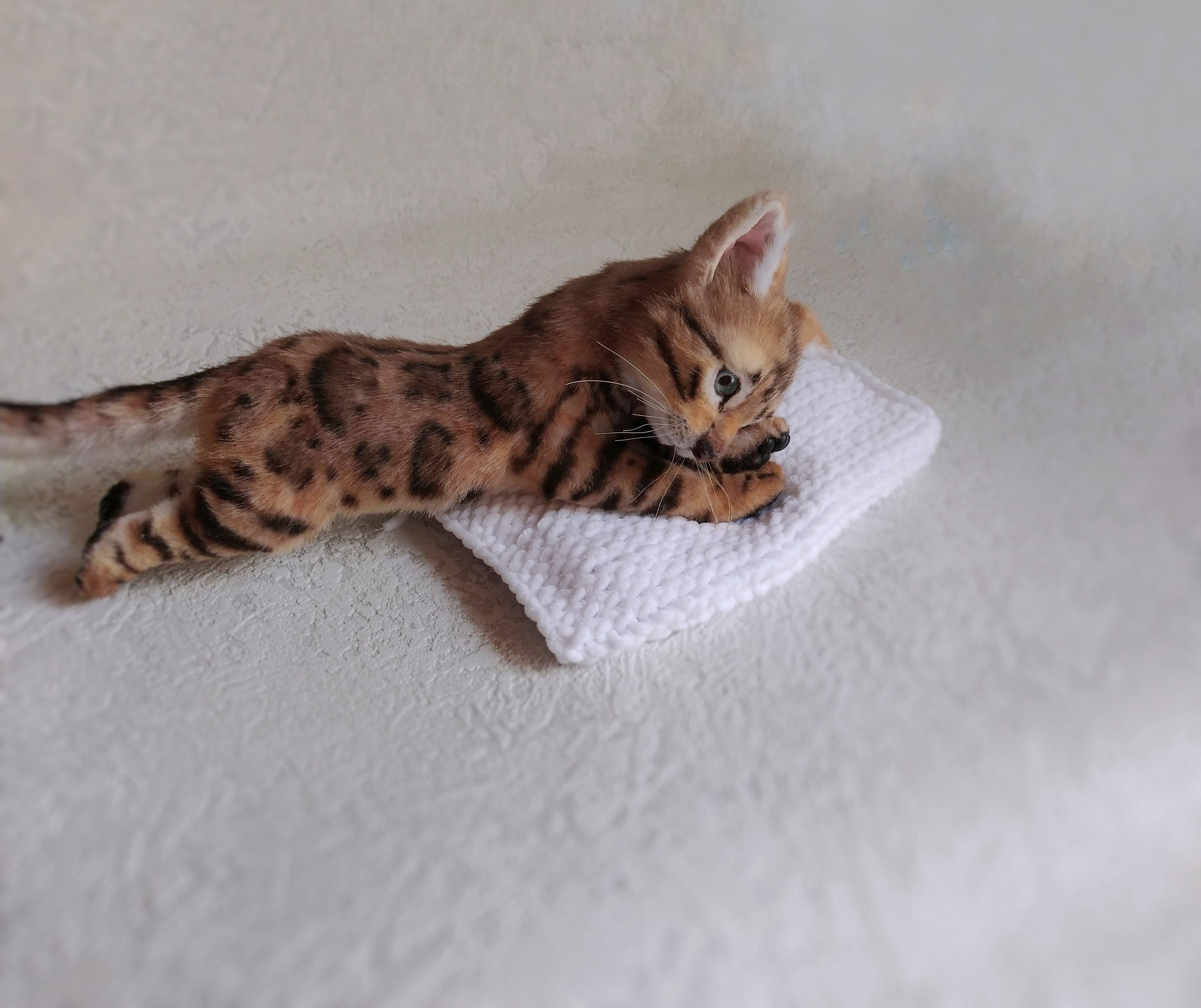 peluche chat bengal