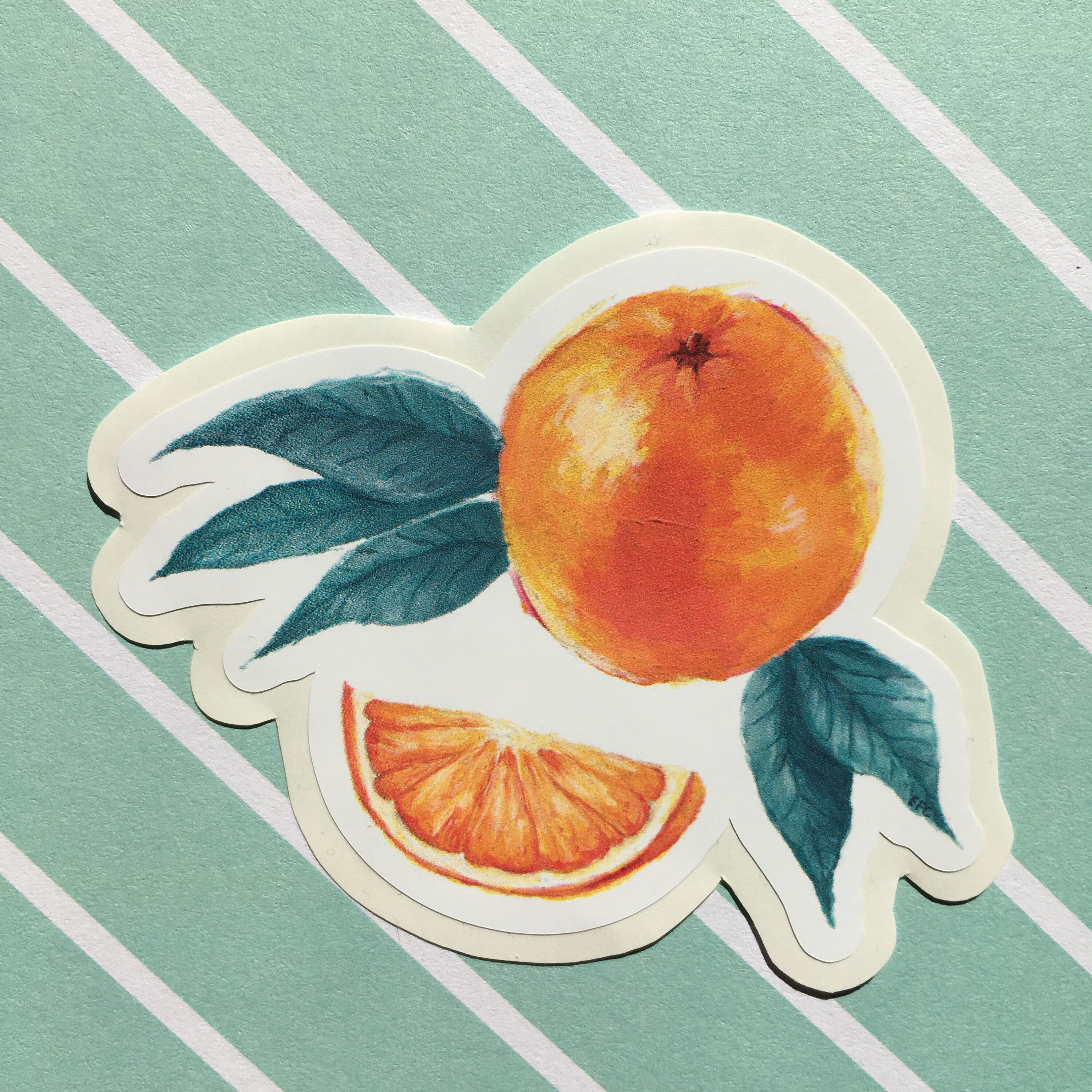 Oranges Art Illustration Sticker 2 Pack Etsy