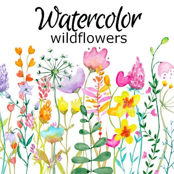 AQUARELL CLIPART Wildblumen Blumen png Grafik Aquarell Illustration Skizze Malerei Clip Art botanisch rosa rose botanisch floral