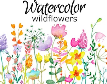WATERCOLOR CLIPART wildflowers flowers png graphics watercolour illustration sketch painting clip art botanical pink rose botanical floral