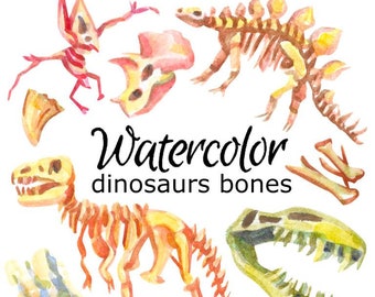 WATERCOLOR CLIPART dinosaurs bones fossils clip art scrapbooking animals png, graphics, watercolour, illustration sketch painting nursery