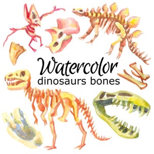 WATERCOLOR CLIPART dinosaurs bones fossils clip art scrapbooking animals png, graphics, watercolour, illustration sketch painting nursery